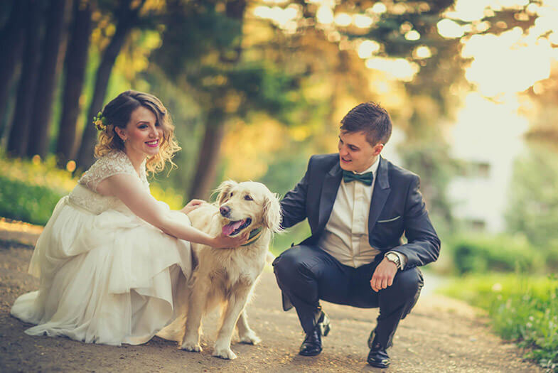 Winner small image - Woofy Weddings